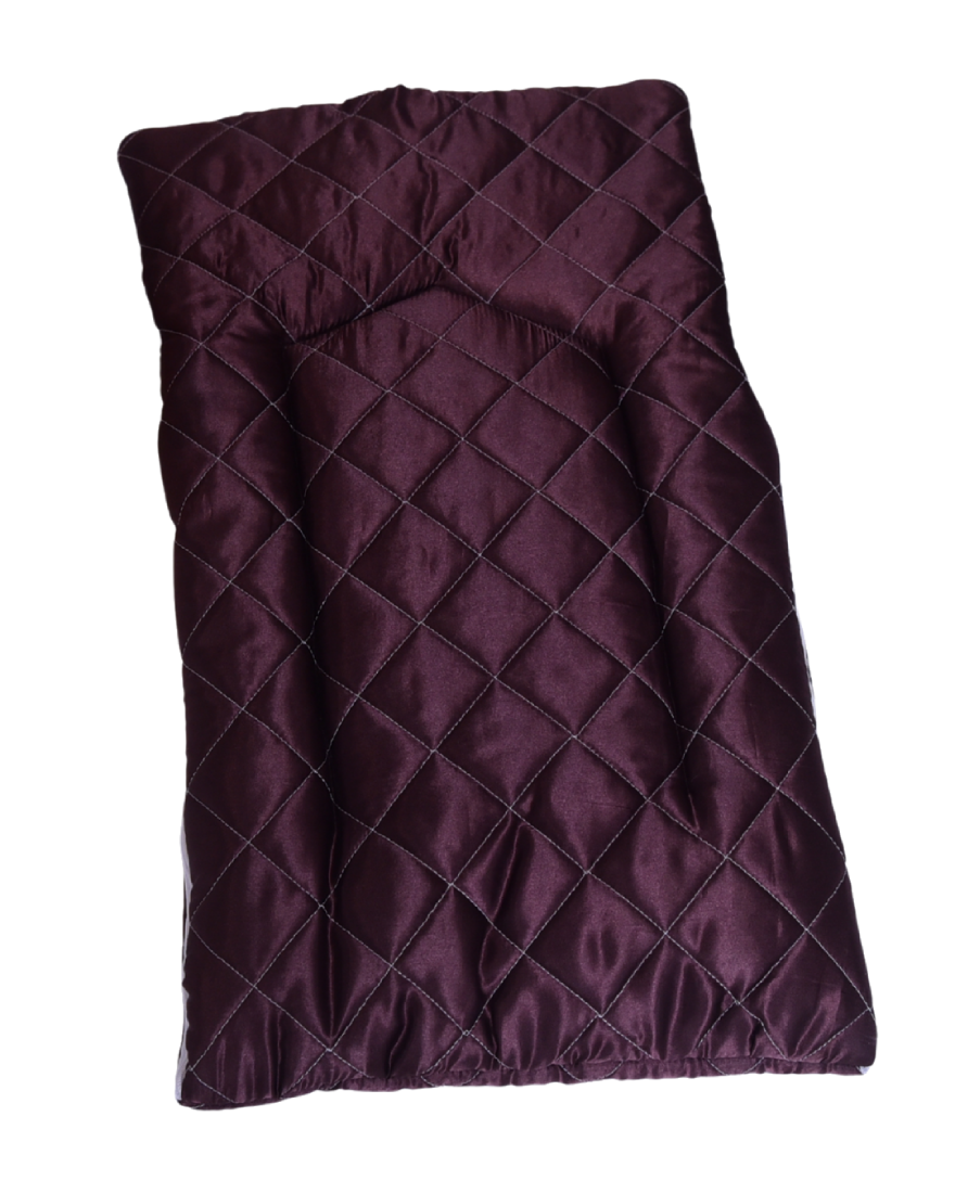 Shinning Brown Baby Carry Nest - Blessed Baby