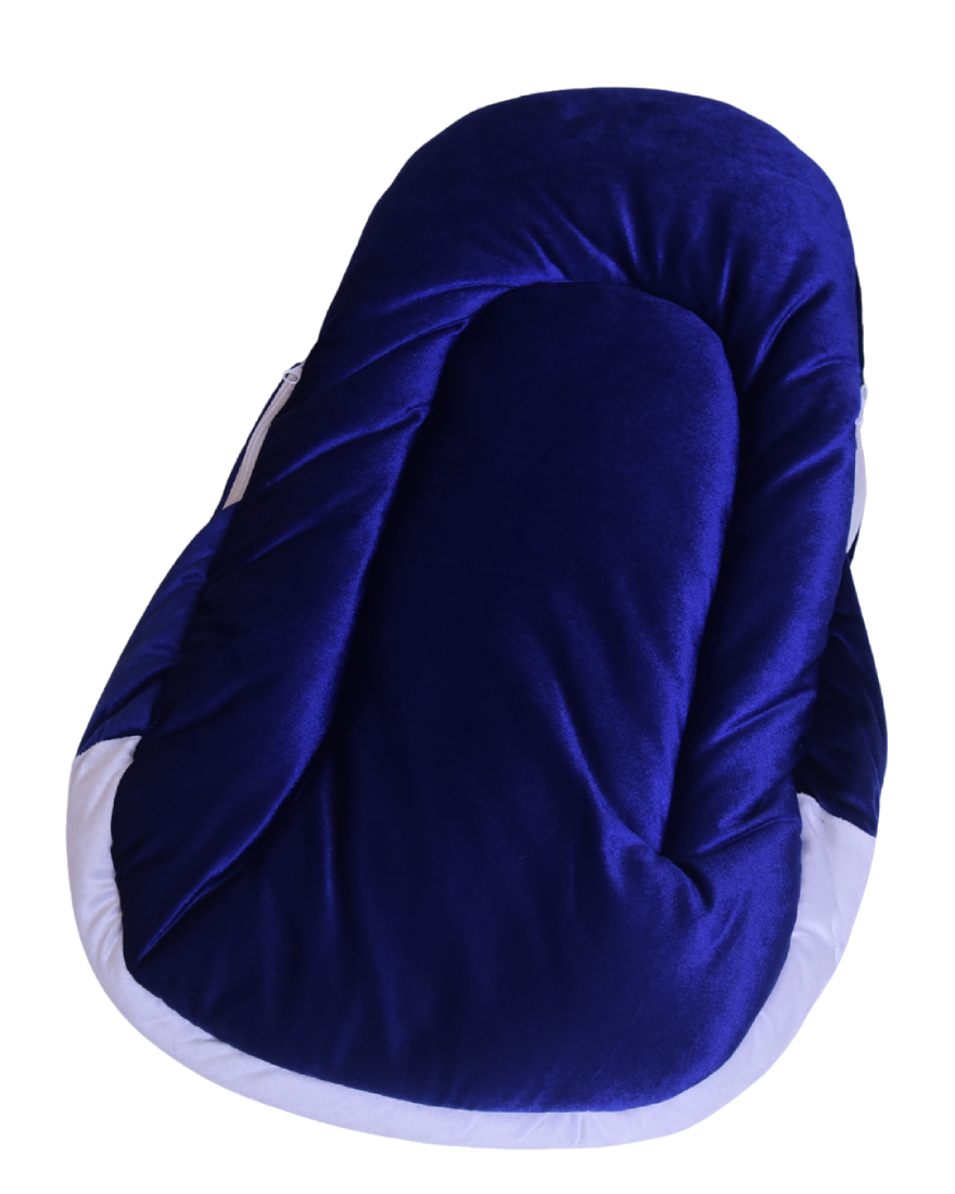 Pengiun Character Blue Coy Carry Nest