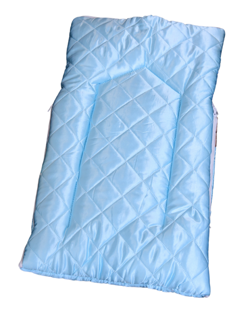 Shinning Blue Baby Carry Nest - Blessed Baby