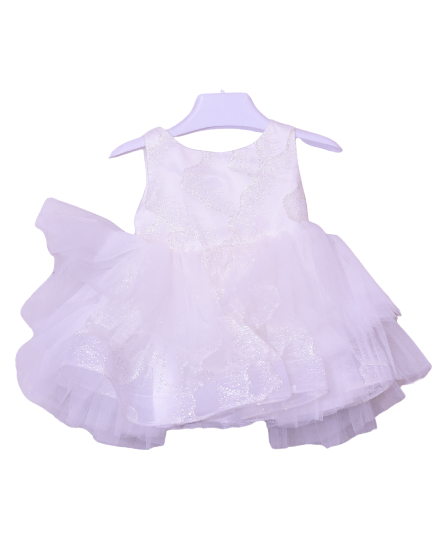 Infant Girls Net Fancy Frock Glow