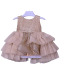 Infant Girls Net Fancy Frock Glow - Golden